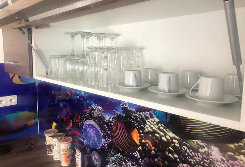 침실 1개 수피리어 아파트, Skodova Apartments