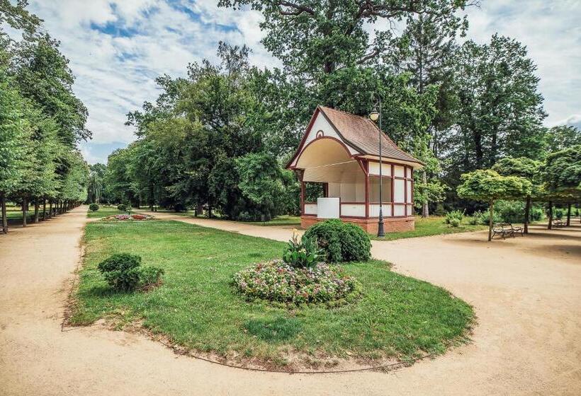 디럭스 룸, Skodova Apartments