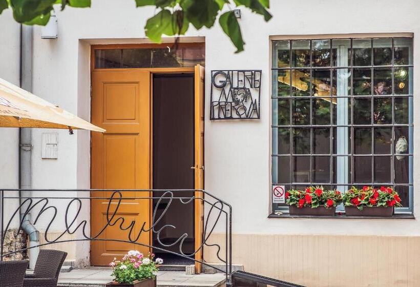 디럭스 룸, Skodova Apartments