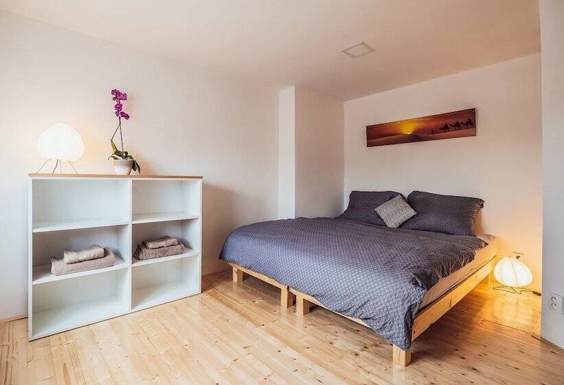 침실 1개 수피리어 아파트, Skodova Apartments