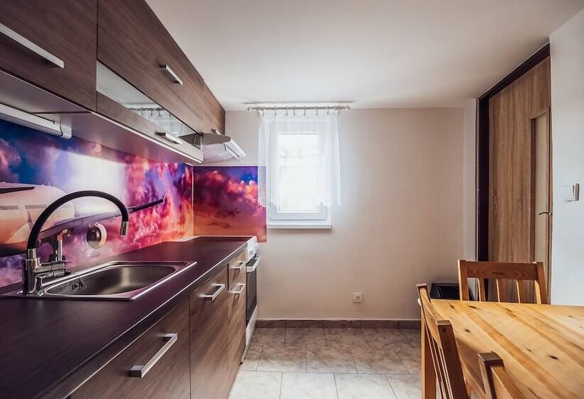 침실 1개 수피리어 아파트, Skodova Apartments