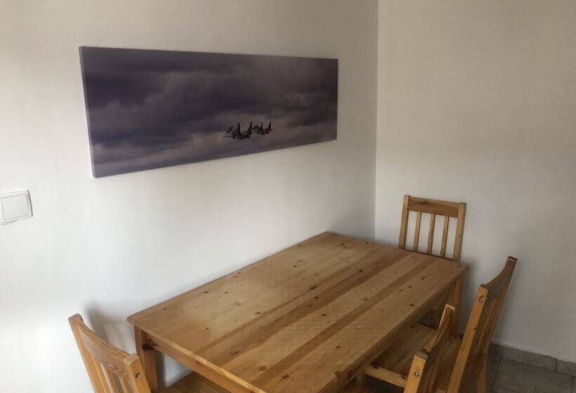 침실 1개 수피리어 아파트, Skodova Apartments