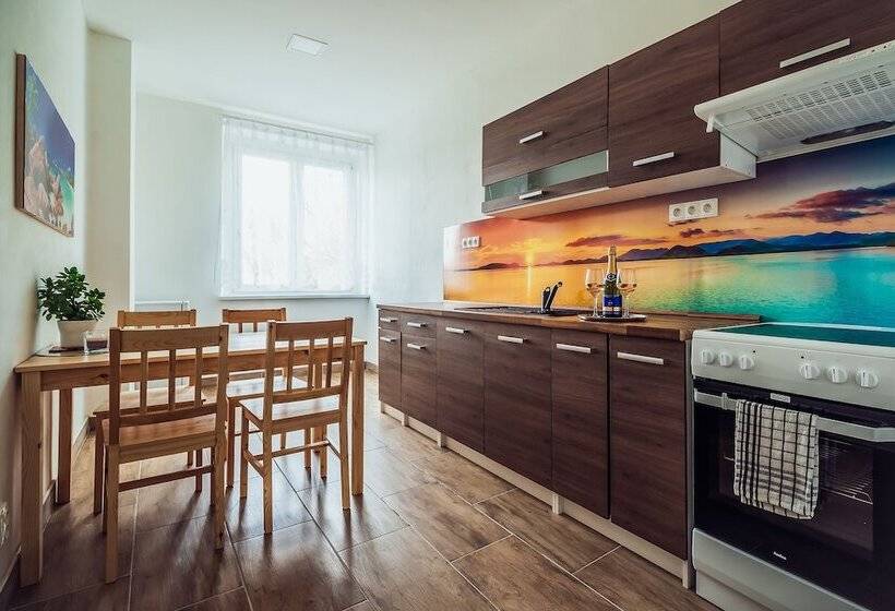 침실 1개 수피리어 아파트, Skodova Apartments