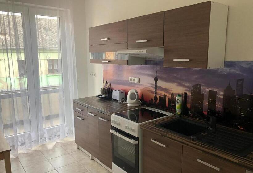 침실 1개 수피리어 아파트, Skodova Apartments