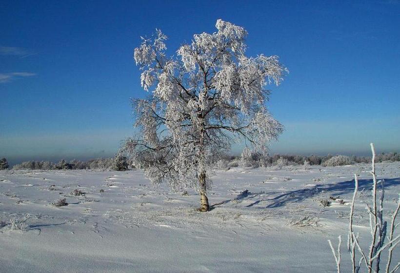 스탠다드 발코니 룸, Penthouse Lebierre