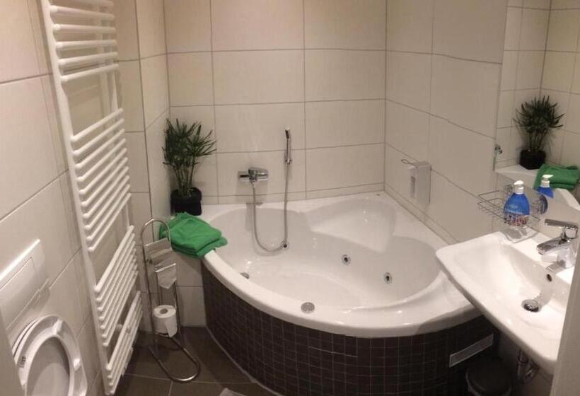 带大床的豪华间, Pension Hoefti