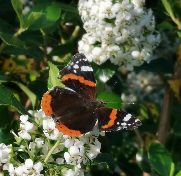 Номер Deluxe, La Riviere Du Bien Etre