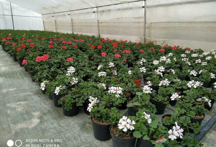 １階の１ベッドルームアパートメント, Agriturismo  Le Serre