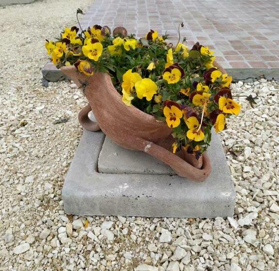 １階の１ベッドルームアパートメント, Agriturismo  Le Serre