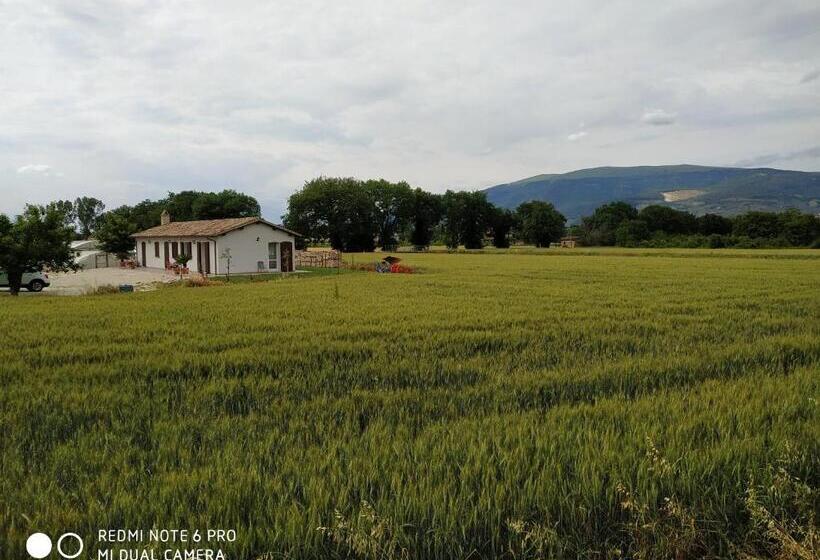 スタンダードスタジオ, Agriturismo  Le Serre