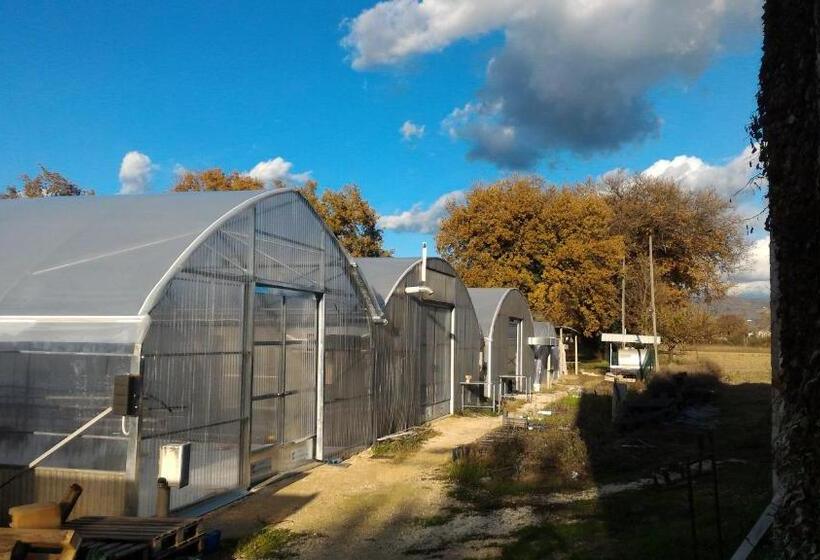 Апартаменты 1 Спальня Вид на Сад, Agriturismo  Le Serre