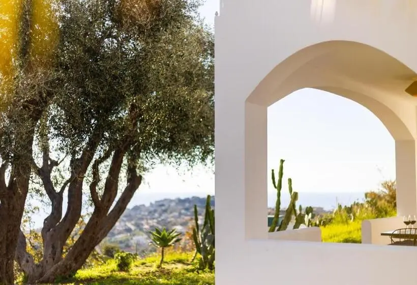 آپارتمان 1 خوابه با چشم‌انداز دریا, The Olive Tree   Seaview Apartments