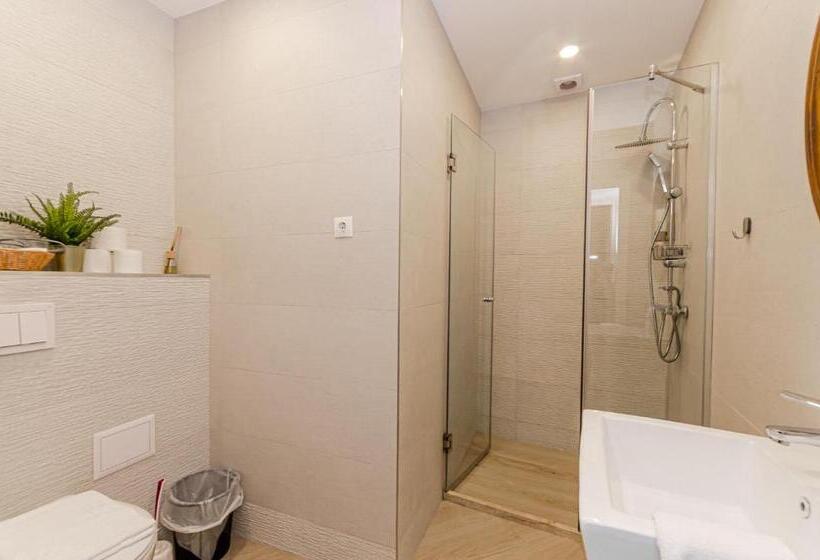 اتاق استاندارد با تخت بزرگ, Lumiere House Sibiu