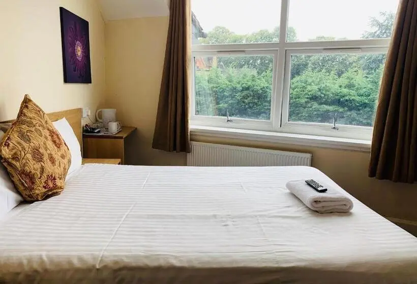 Economy-huone, Albert Guest House