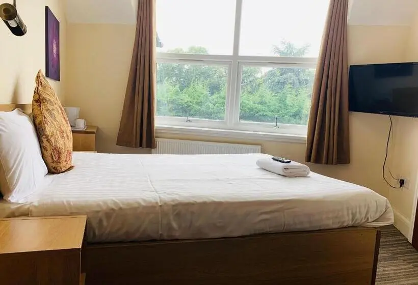Economy-huone, Albert Guest House