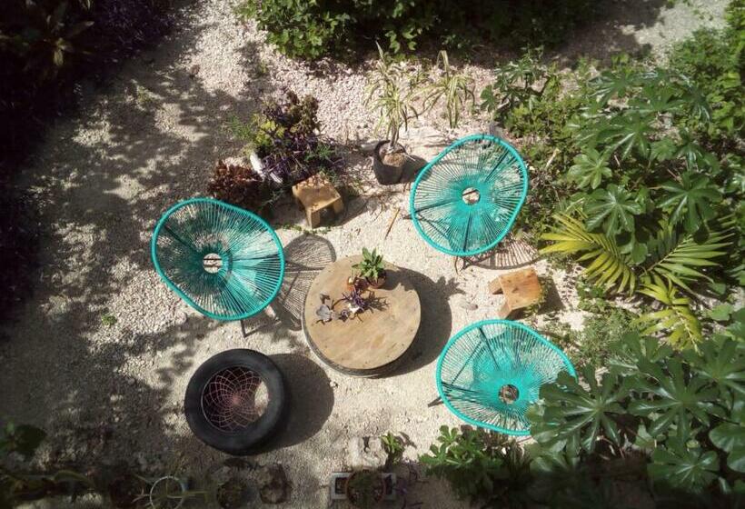 共用房间的床, Guarumbo