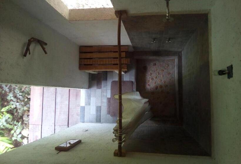 تختخواب در اتاق مشترک, Guarumbo