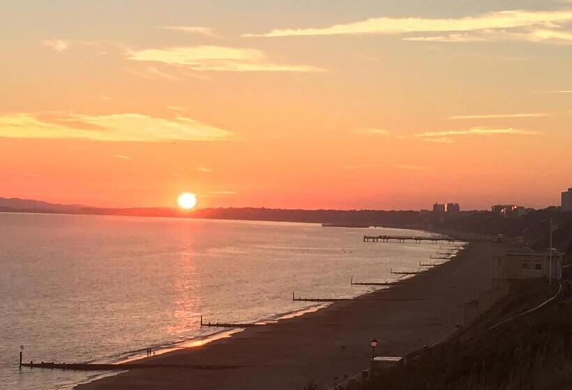 חדר סטנדרט יחיד, Oxford Avenue