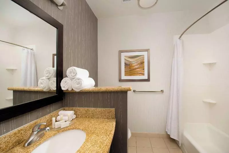 キングサイズベッドのスタンダードルーム, Hampton Inn & Suites Little Rock Downtown