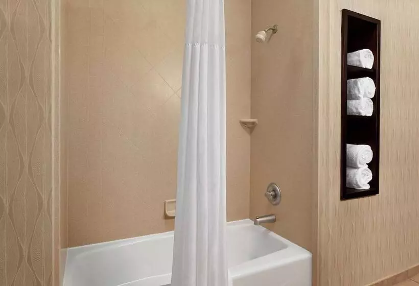 スタンダードルーム, Hampton Inn Sulphur Springs