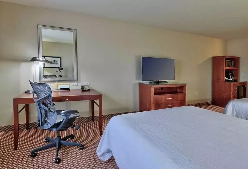 スタンダードルーム, Hilton Garden Inn Las Cruces