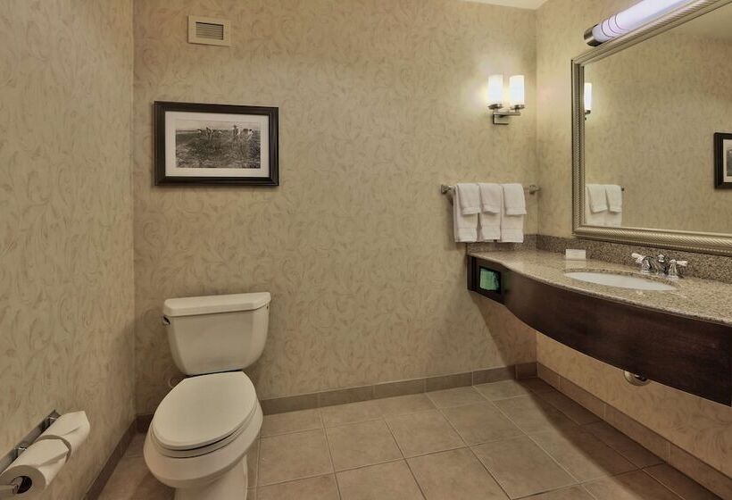 جناح لذوى الاحتياجات الخاصة, Hilton Garden Inn Las Cruces