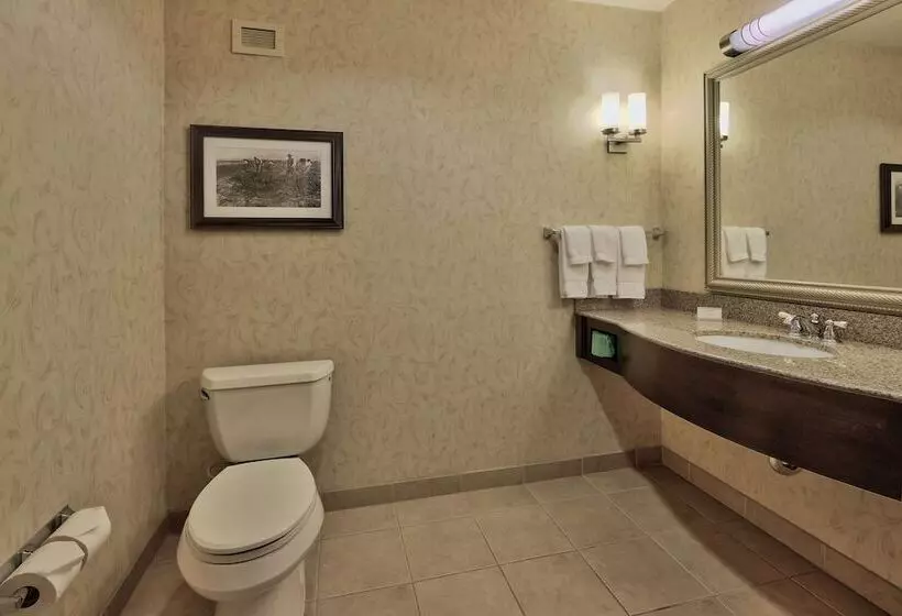 身障者適用スイートルーム, Hilton Garden Inn Las Cruces