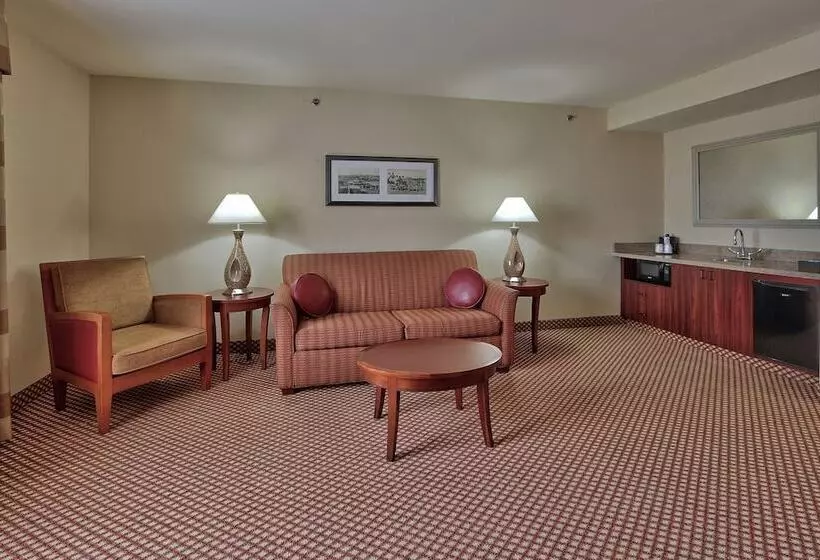 身障者適用スイートルーム, Hilton Garden Inn Las Cruces
