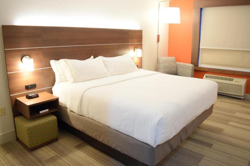 장애인을 위한 킹사이즈 침대 스탠다드 룸, Holiday Inn Express & Suites Pensacola West I 10, An Ihg