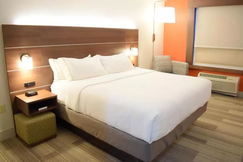 身障者適用キングサイズベッドルーム, Holiday Inn Express & Suites Pensacola West I 10, An Ihg