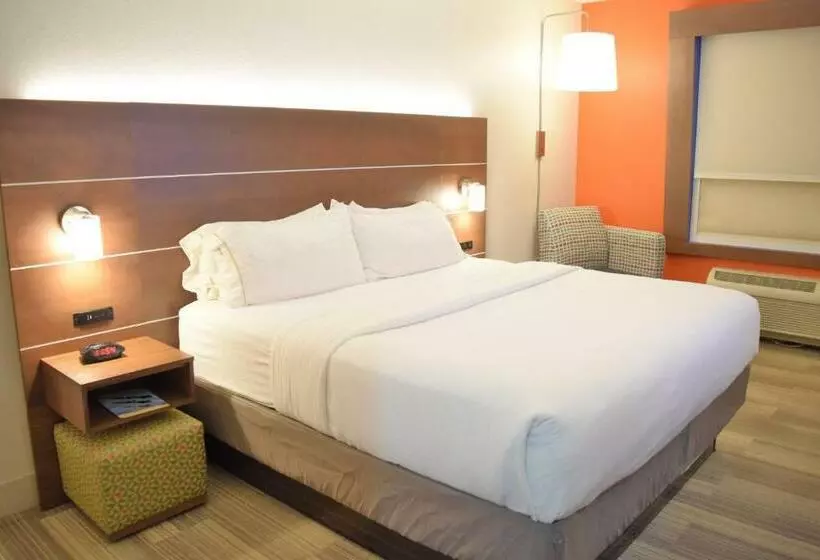 キングサイズベッドのスタンダードルーム, Holiday Inn Express & Suites Pensacola West I 10, An Ihg