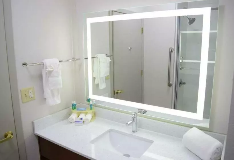 キングサイズベッドのスタンダードルーム, Holiday Inn Express & Suites Pensacola West I 10, An Ihg