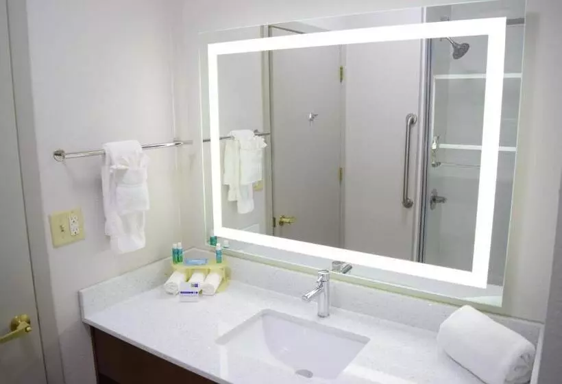 スタンダードルーム, Holiday Inn Express & Suites Pensacola West I 10, An Ihg