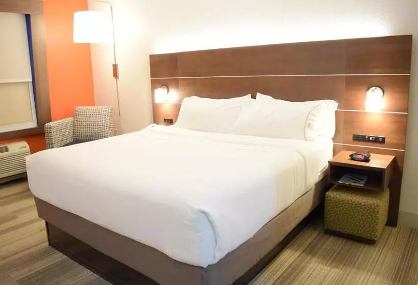 身障者適用キングサイズベッドルーム, Holiday Inn Express & Suites Pensacola West I 10, An Ihg