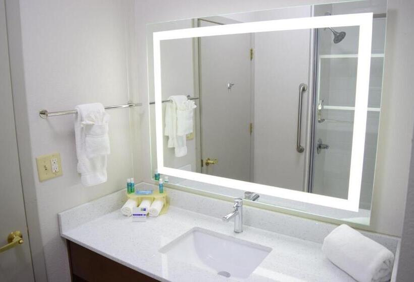 Номер Стандарт Кровать Кинг Адаптированный для Инвалидов, Holiday Inn Express & Suites Pensacola West I 10, An Ihg