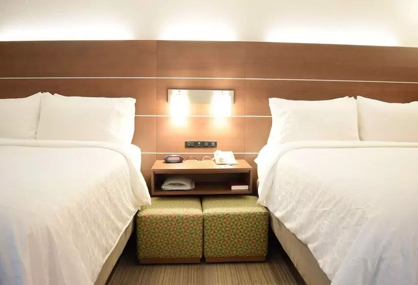 スタンダードルーム, Holiday Inn Express & Suites Pensacola West I 10, An Ihg