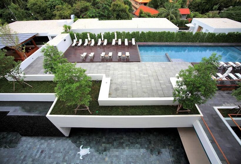 Svit, Nap Patong