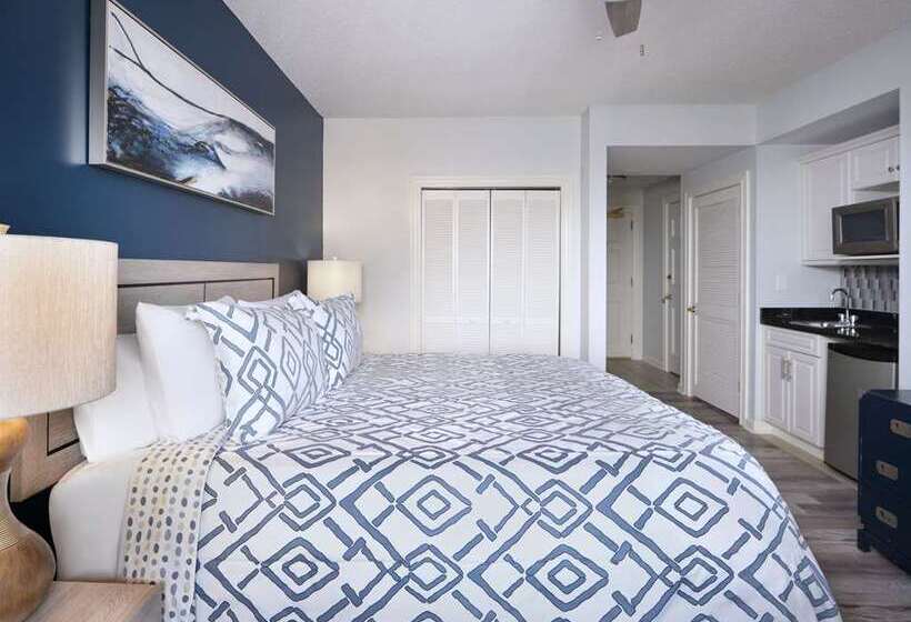 غرفة قياسية سرير كينج, Royal Palms Apartment