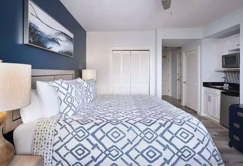 Standard Room King Size Bed