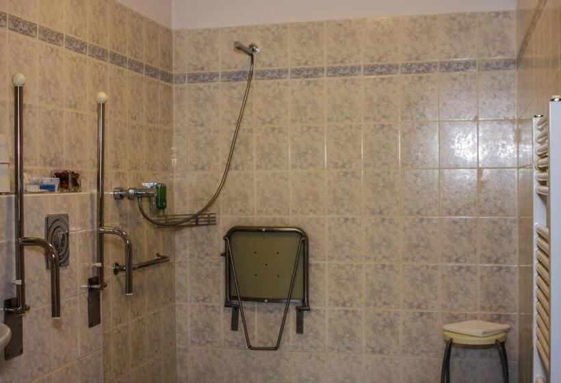 Mozgáskorlátozott Standard Szoba King Size Bed, Terra