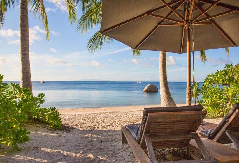 1 Yatak Odalı Villa, Haadtien Beach Resort