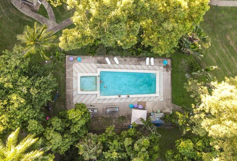 חדר סטנדרט עם מיטת קינג, Base Airlie Beach Resort   Hostel