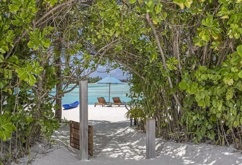 خانه 1 خوابه, Naladhu Private Island Maldives