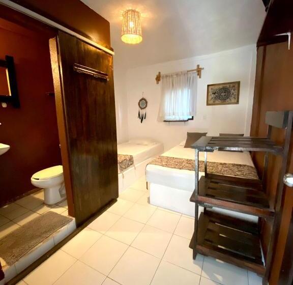 Номер Стандарт, Chaak