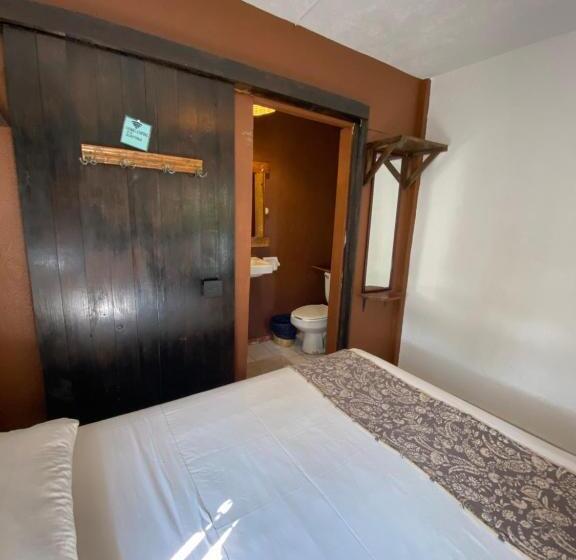 Номер Стандарт, Chaak