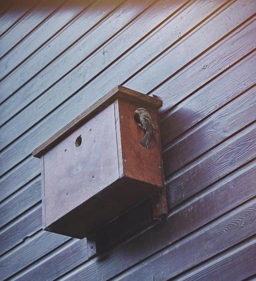 חדר סטנדרט לשלושה עם נוף לגינה, B&b Maas En Heuvel Maastricht