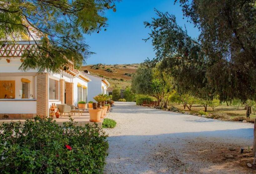 豪华房间, Finca El Limonar