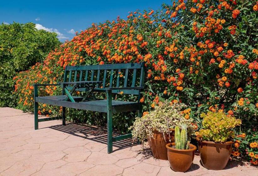 豪华房间, Finca El Limonar