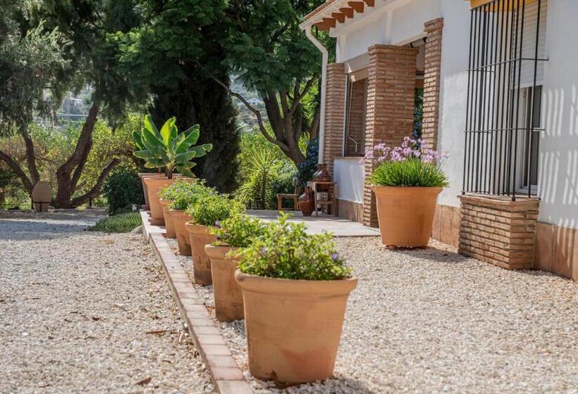 豪华房间, Finca El Limonar