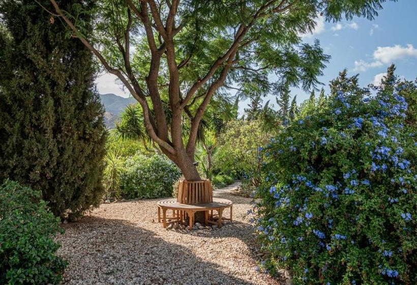 豪华房间, Finca El Limonar